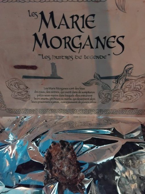 Bretonnes - Les Marie Morganes